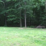 Great Back Yard with big trees 150x150 Denver NC Home For Rent with Acreage