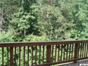 Back Deck 300x225 Back Deck