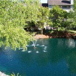 Charlotte Property Management