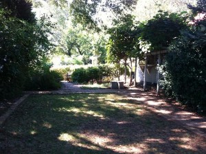 Davidson Property Management