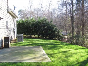 Carolina Living Property Management