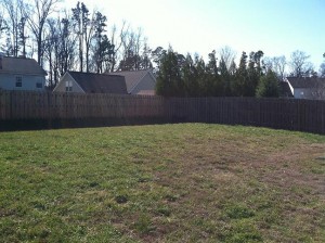 back yard 2 300x224 back yard 