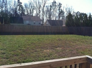 back yard 300x224 back yard