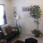 loft 150x150 Cute North Charlotte Home For Rent