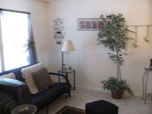 loft 300x225 loft