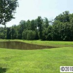 Carolina Living Property Management