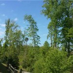 Charlotte Property Management