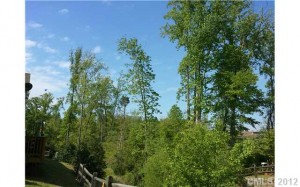 Charlotte Property Management