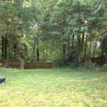 Charlotte Property Management