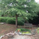 Charlotte Property Management ! Carolina Living Property Management