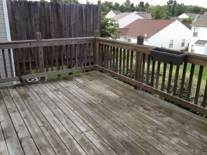 Charlotte Property Management