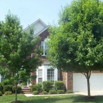 Charlotte Property Management