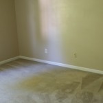 Carolina Living Property Management